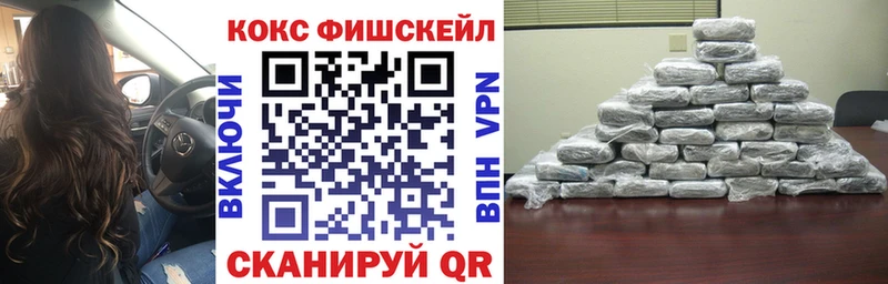 Cocaine FishScale  Купить закладки  Заинск 